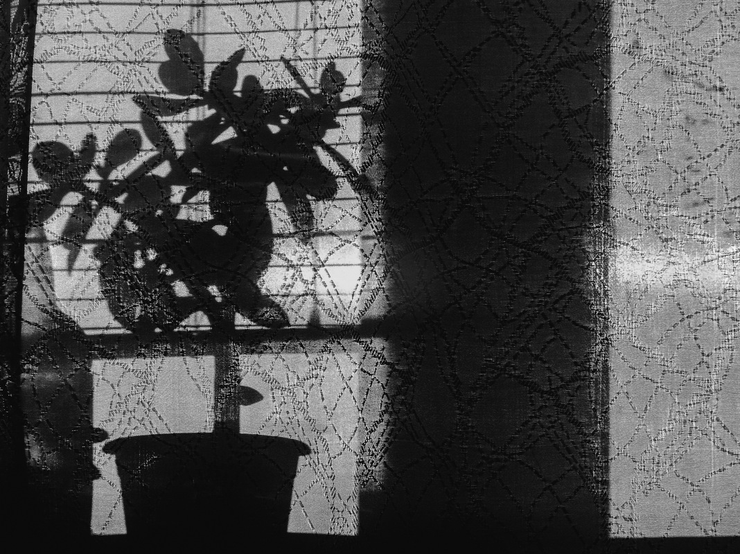 Этюд с цветком