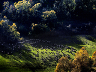 Transylvanian feeling