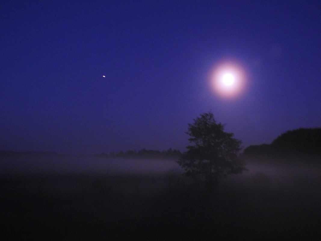 Вечірній туман