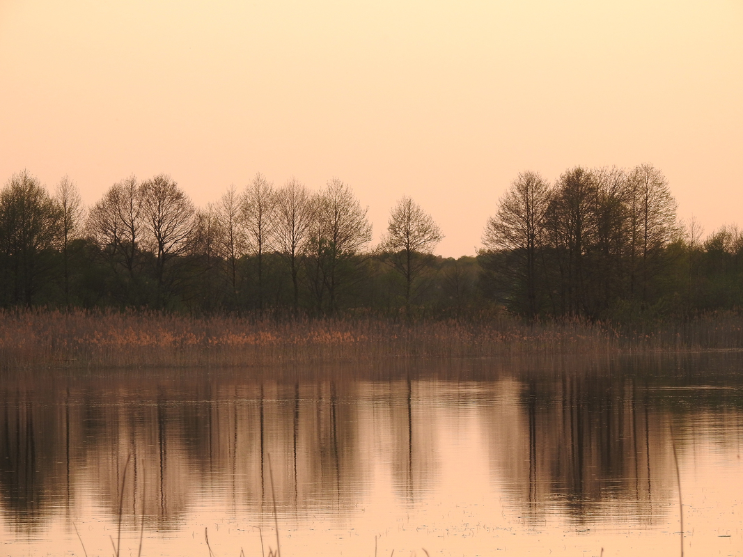 Меланхолія