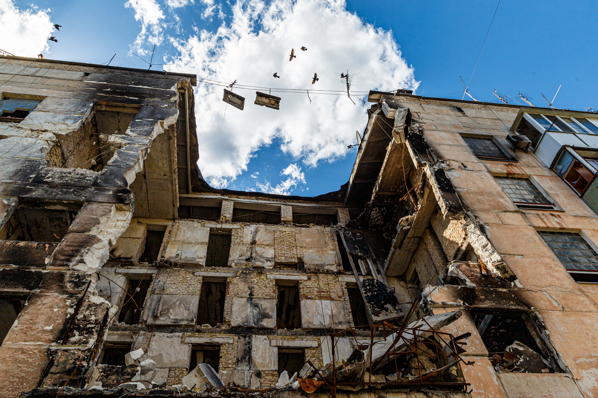 Now only birds live here