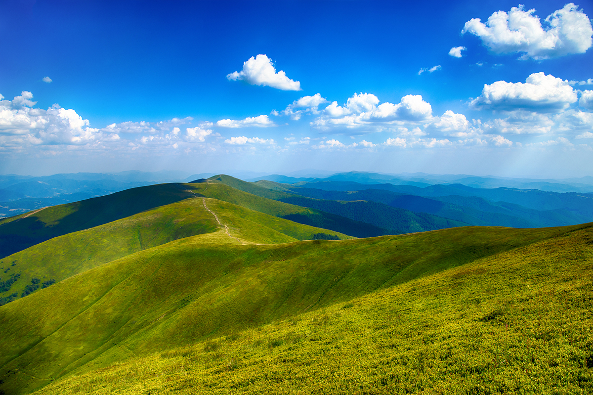 Carpathian Greenlands
