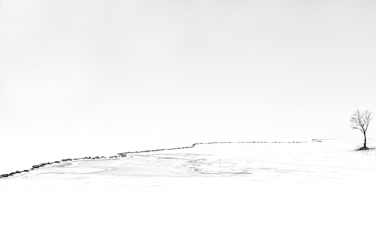 Київське море 2022