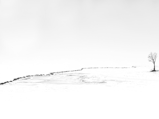 Київське море 2022