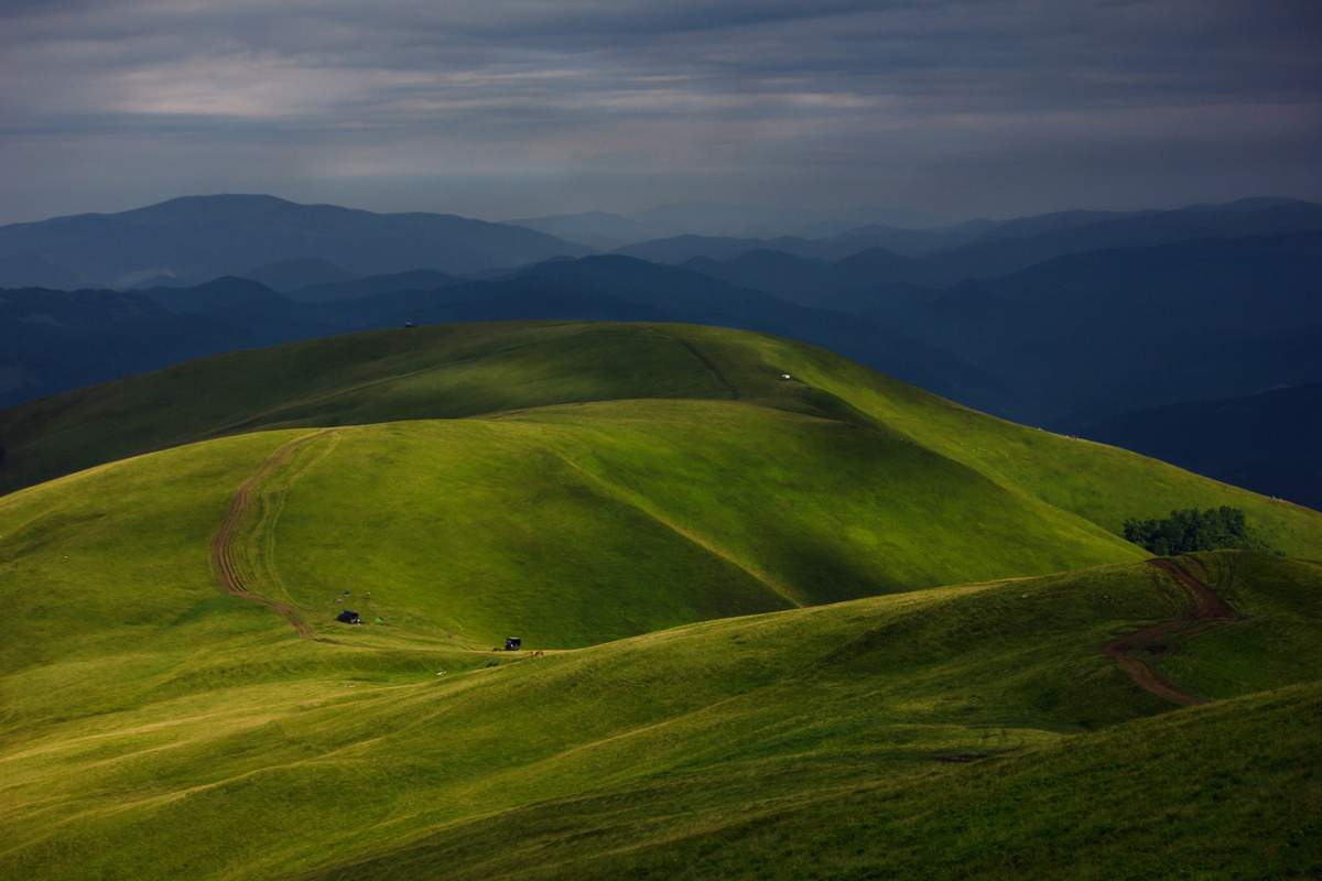 Карпатський оксамит