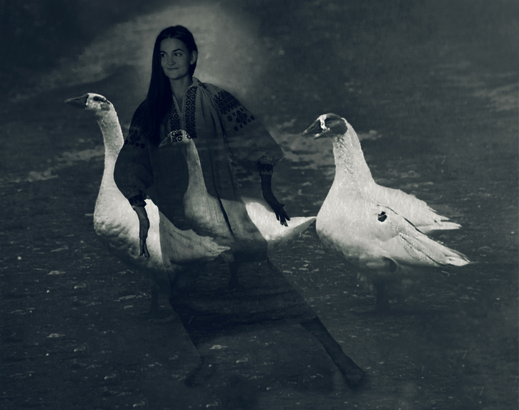 Веселі гусі