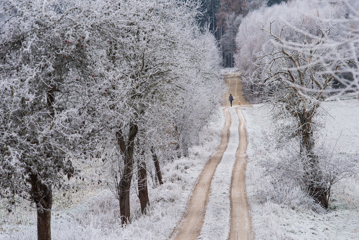 Ранкова прогулянка