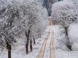 Ранкова прогулянка