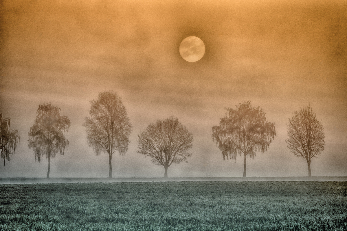 теплий ранок