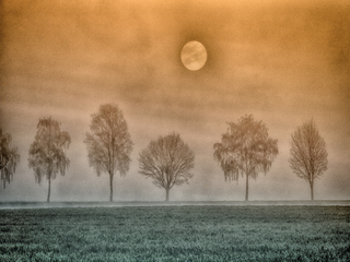 теплий ранок