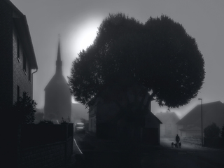 Назустріч сонцю