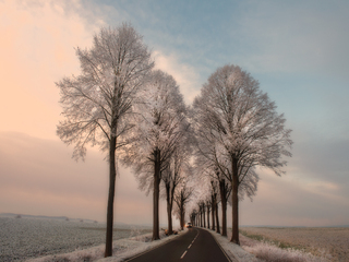 Перед світанком