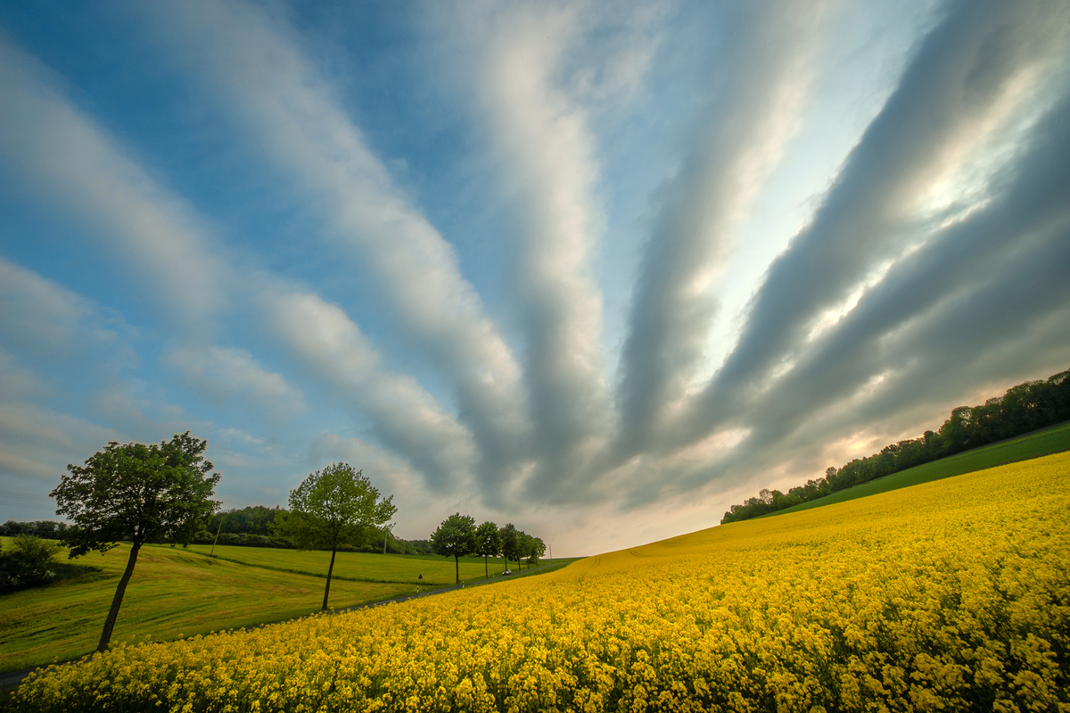 Вечірня гра