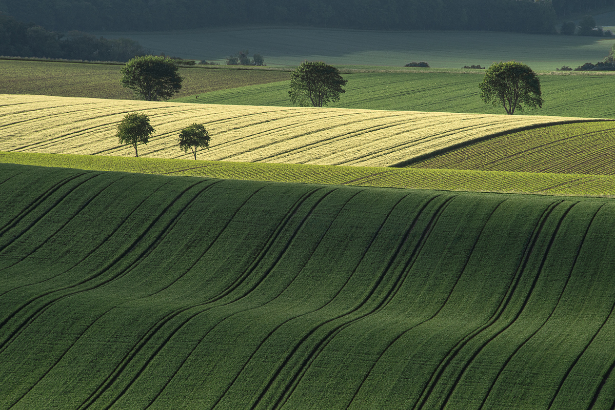 Весняні хвилі
