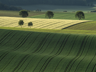 Весняні хвилі