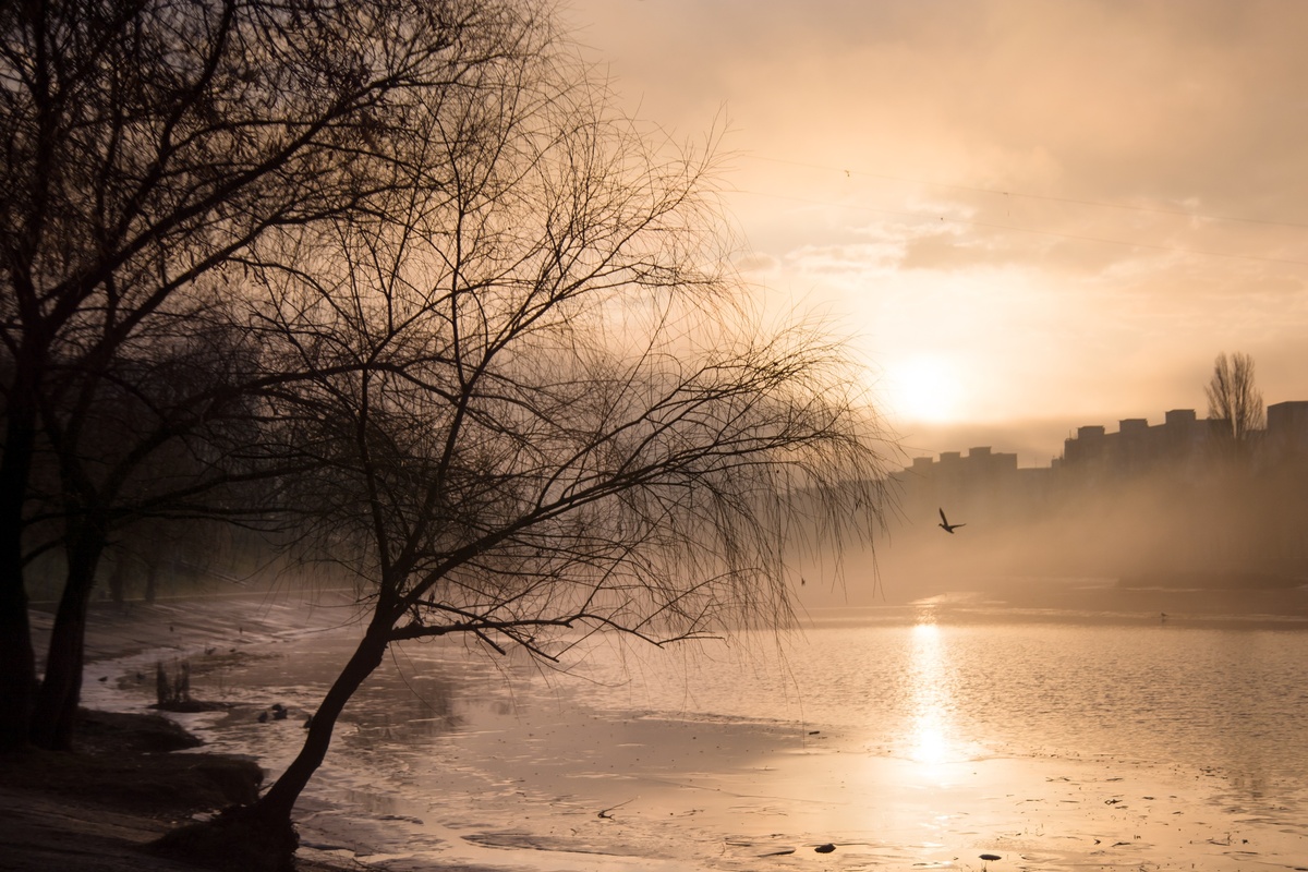 Міський світанок