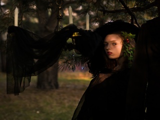 Дика шипшина