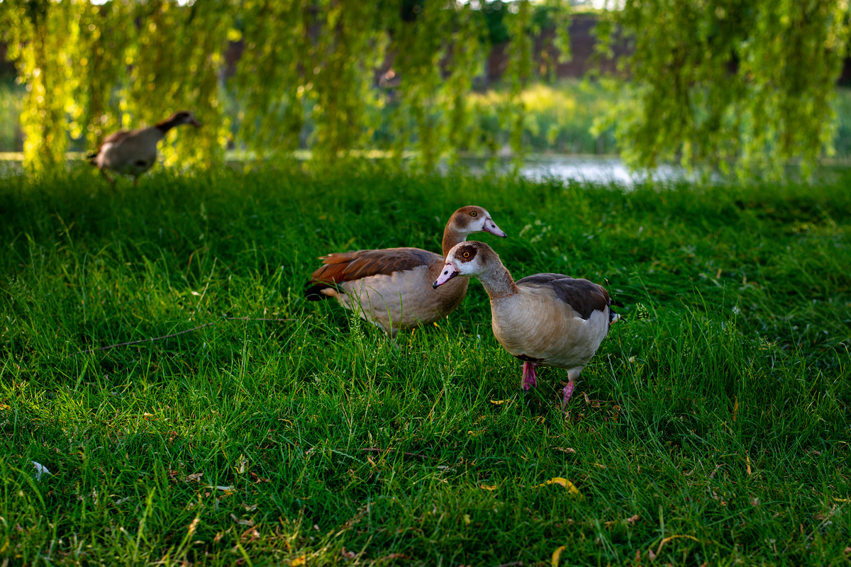 А що тут у вас?