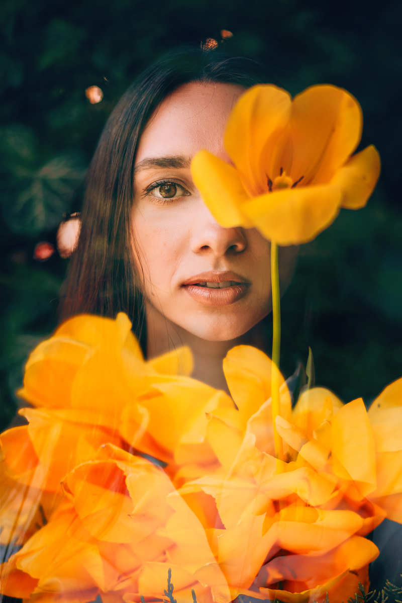 Історія про жовті тюльпани