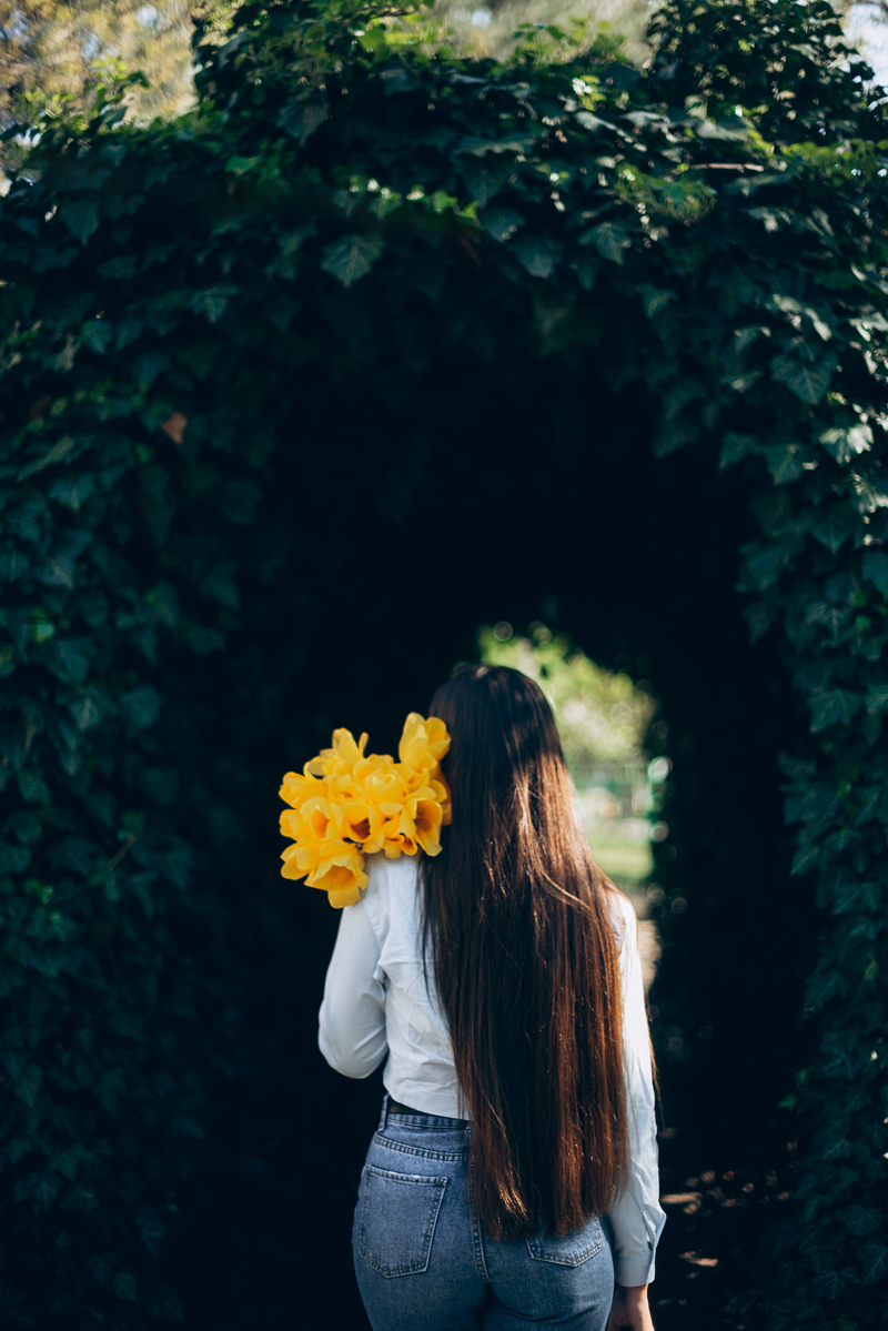 Історія про жовті тюльпани