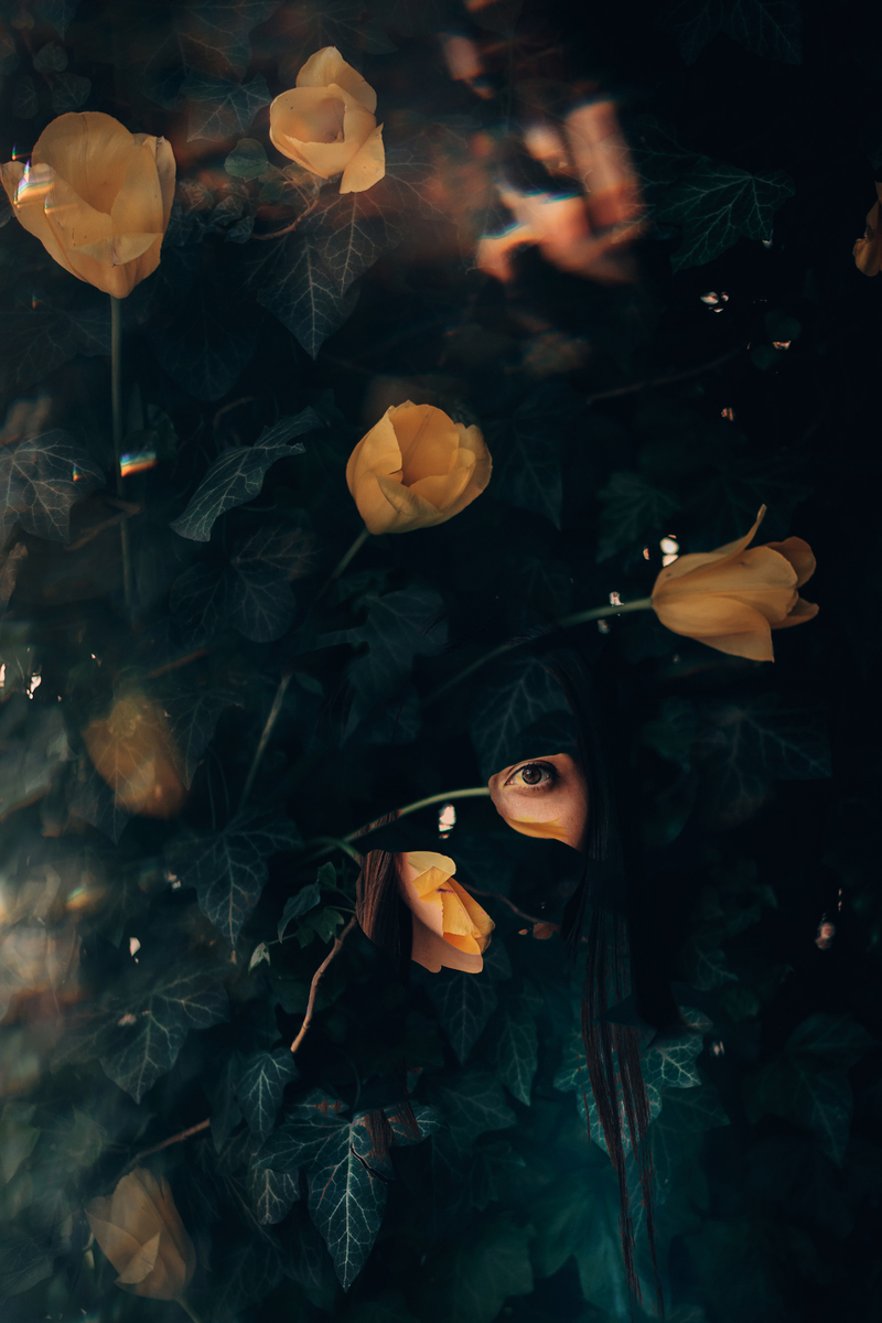 Історія про жовті тюльпани