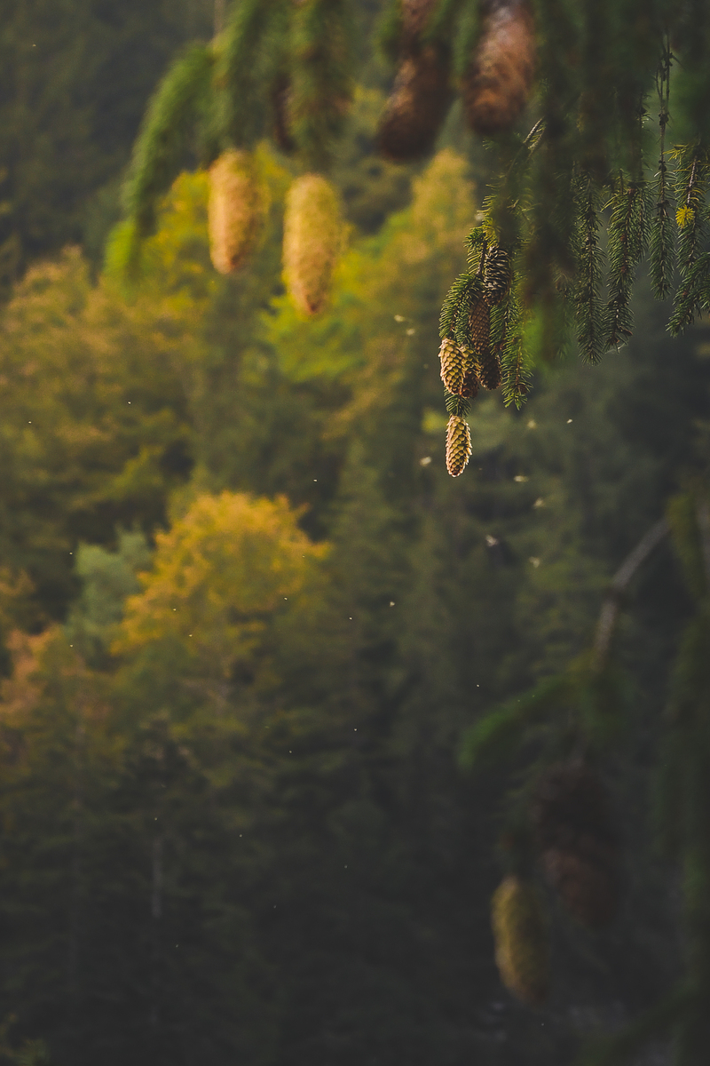 ОСТАННІ ХВИЛИНИ