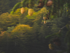 ОСТАННІ ХВИЛИНИ