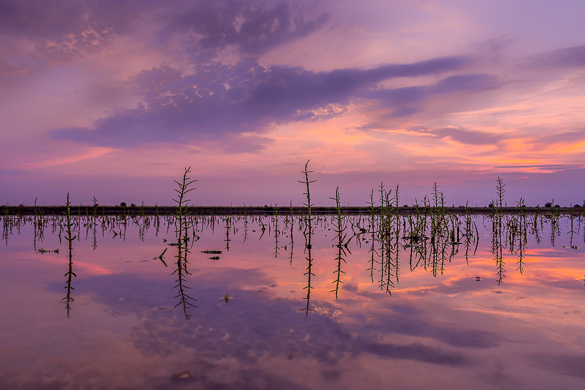 АЗОВСЬКІ РАНКИ