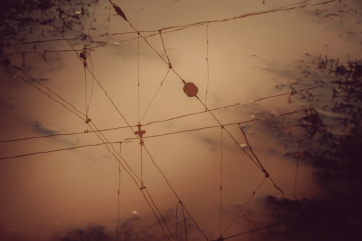 МАРІУПОЛЬСКІ ВІДЛУННЯ