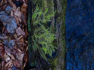 ЗАВЖДИ ПОРУЧ