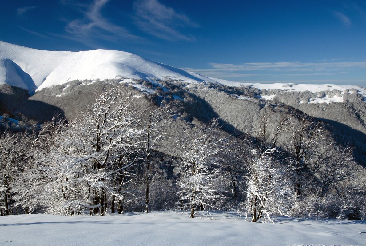 Після снігопаду