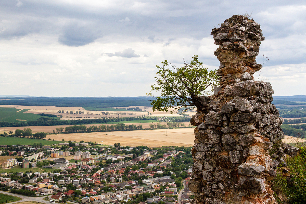 Gentleman with a bouquet