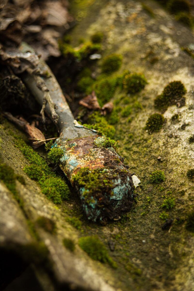 Не лишай мистецтво