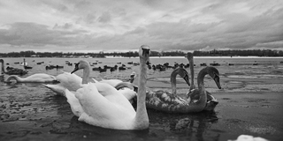 Взимку на Дніпрі