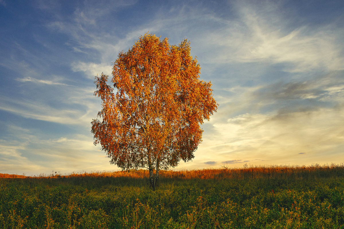 Осінні кольори