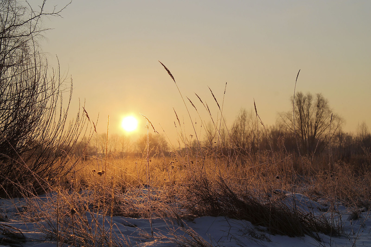 Народження нового життя