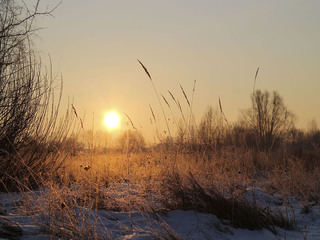 Народження нового життя