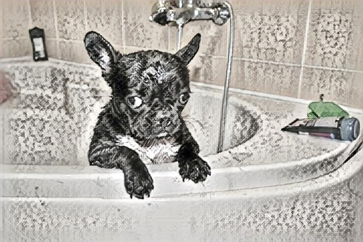 3. Мокрий Граф.