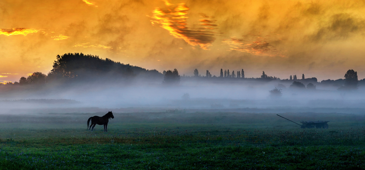 Ранок на Поліссі
