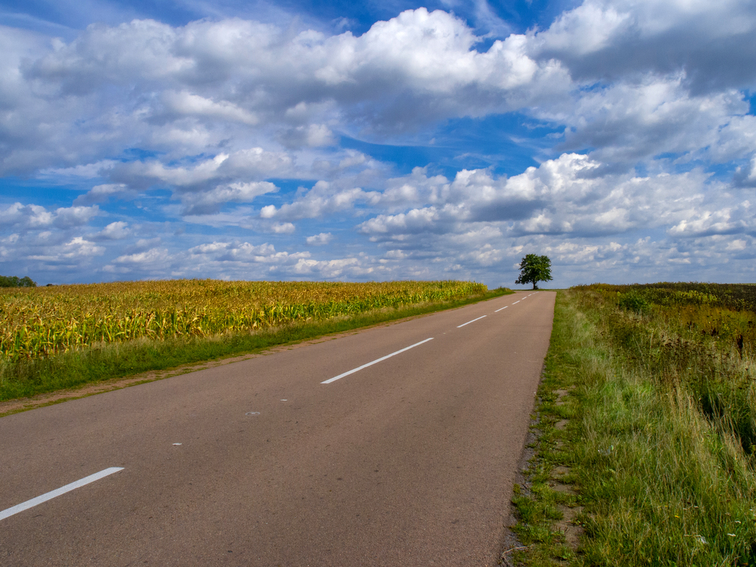 Шлях до дому