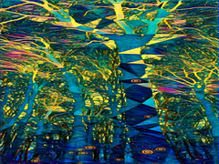 Десь в океані