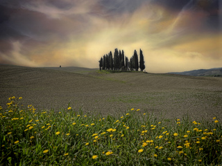Toscana III