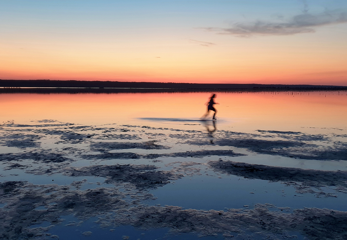 Evening on the estuary