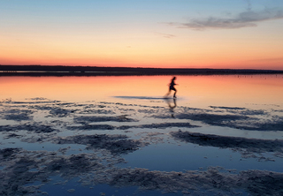 Evening on the estuary