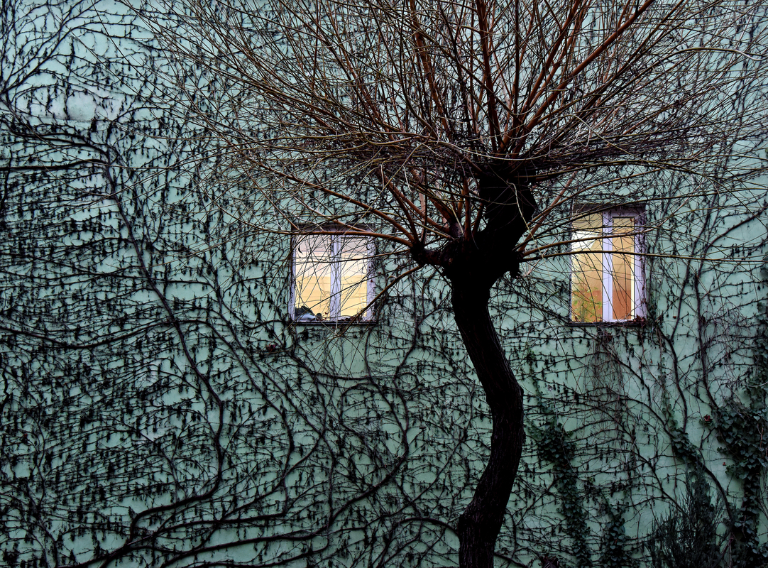 The wall is watching