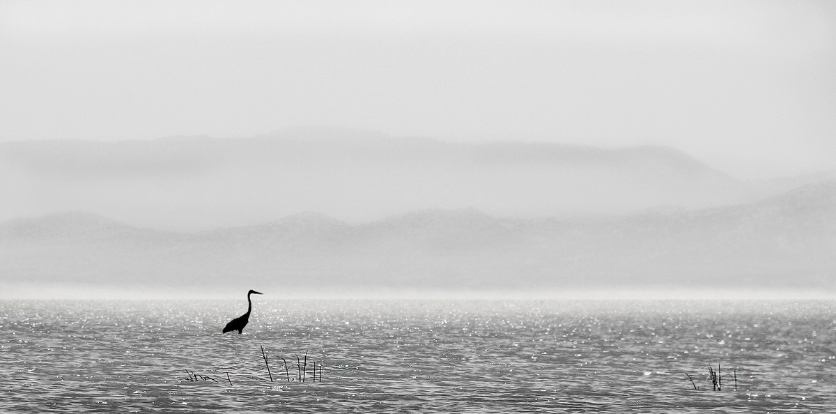Brume sur le lac Shamo