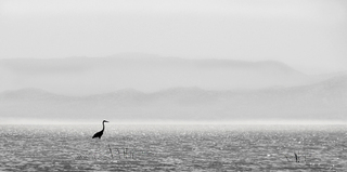 Brume sur le lac Shamo