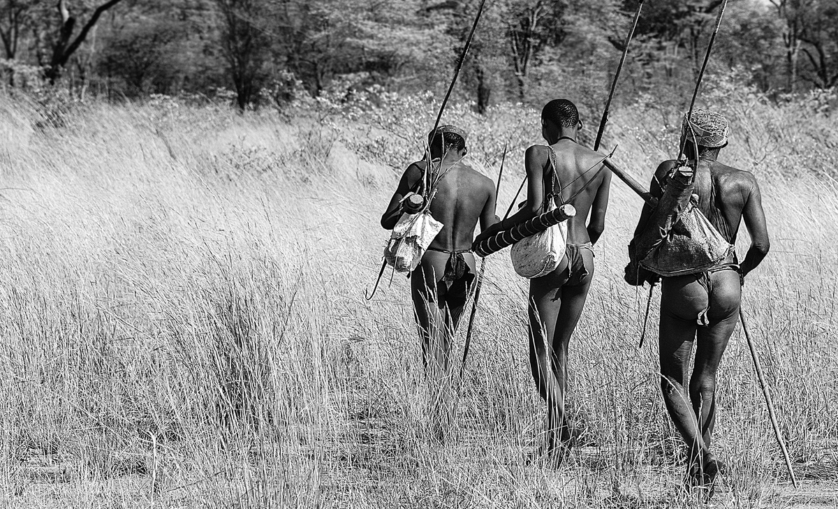 Bushmen hunters
