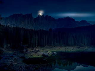 Лісове озеро