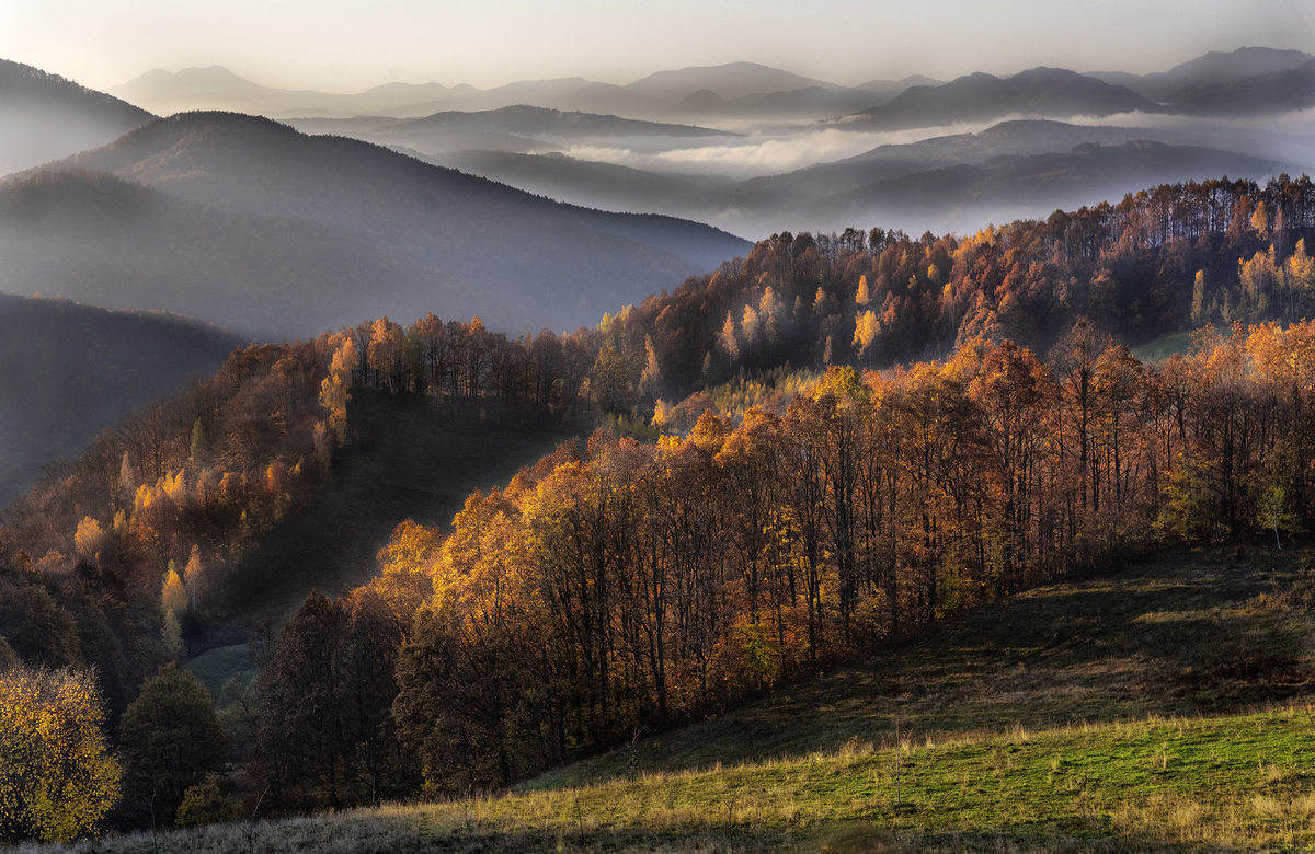 Sullo sfondo Ucraina